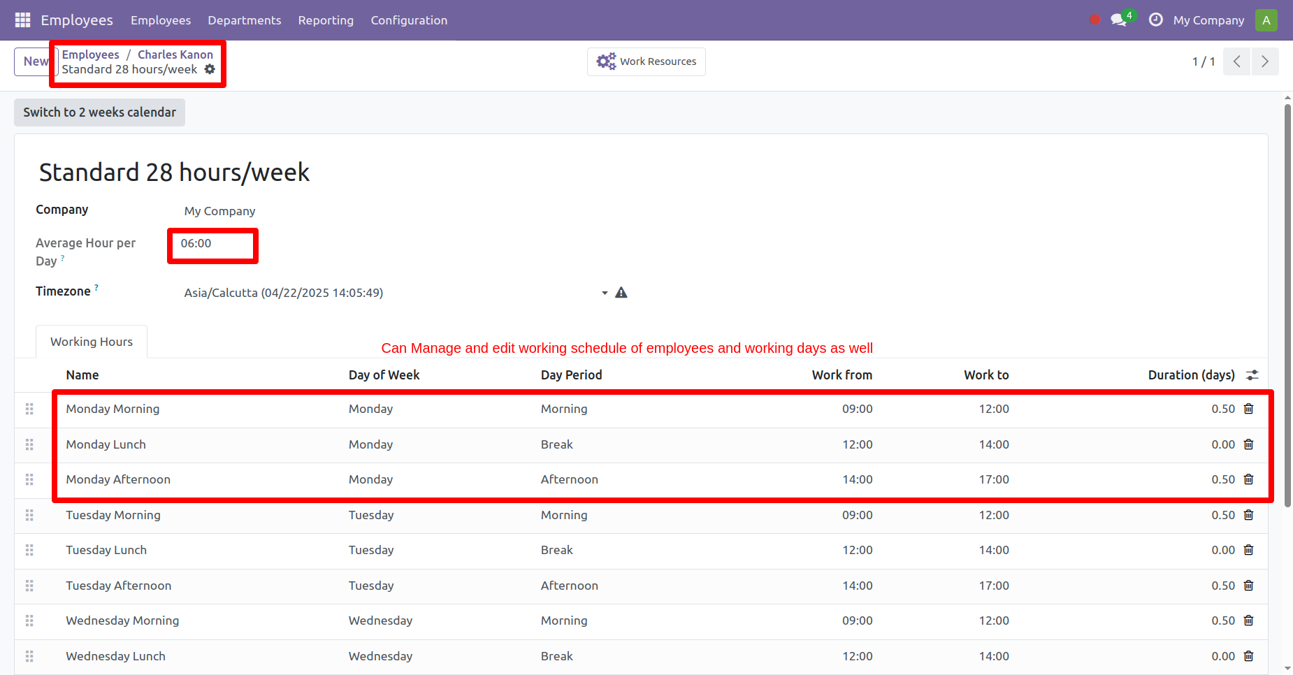 8. Working Schedule Format and Form View. 